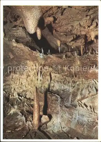 Hoehlen Caves Grottes Drachenhoehle Syrau Schatzkammer Versteinerte Axt  / Berge /