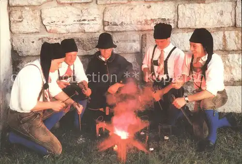 Musikanten D' lustig'n Zauchenseer Knappentanz Altenmarkt Salzburger Land  / Musik /