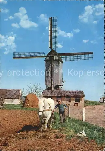 Windmuehle Pferd Pflug Landwirtschaft / Gebaeude und Architektur /