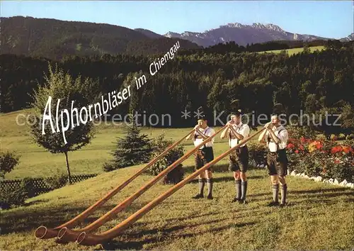 Alphorn Alphornblaeser Chiemgau  / Musik /