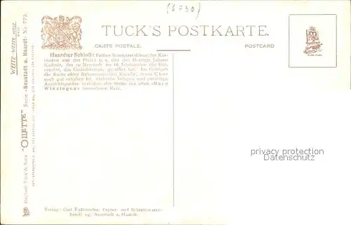 Verlag Tucks Oilette Nr. 779 Neustadt an der Haardt Haardter Schloss N. Beraud  Kat. Verlage