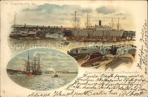 Dampfer Oceanliner Pennsylvania Baakenhafen Hamburg Segelschiffe Litho Kat. Schiffe