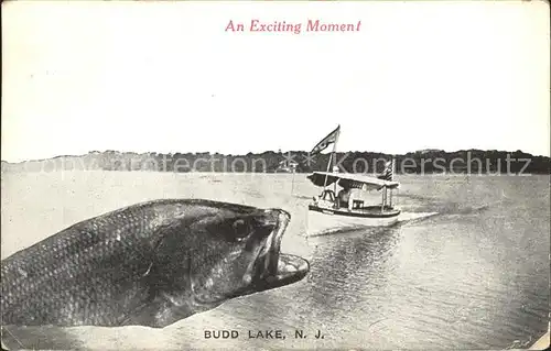 Fotomontage Fotocollage Fisch Boot Budd Lake New Jersey  Kat. Fotografie