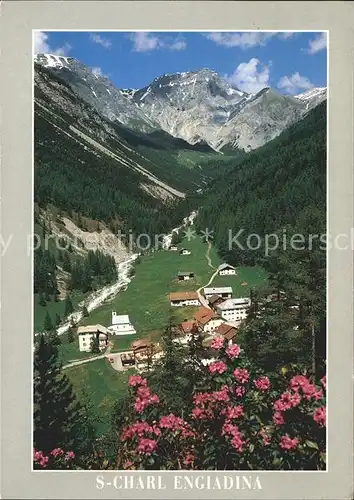 S Charl Panorama Val Sesvenna und Piz D Imez Alpenflora Kat. Val S Charl