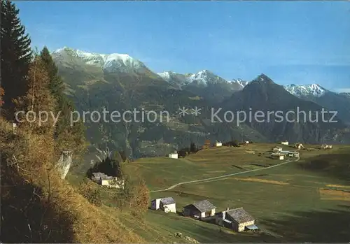 Selva Poschiavo  Kat. Poschiavo