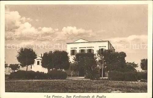 San Ferdinando di Puglia La Fenice  Kat. San Ferdinando di Puglia