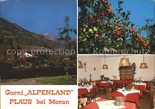 Plaus Meran Hotel Garni Alpenland Gastraum Kat. Merano