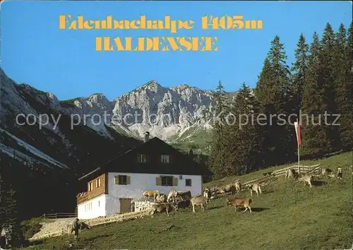Haldensee edenbachalpe Kat. Oesterreich