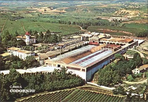 Codorniu Totalansicht Kat. Spanien