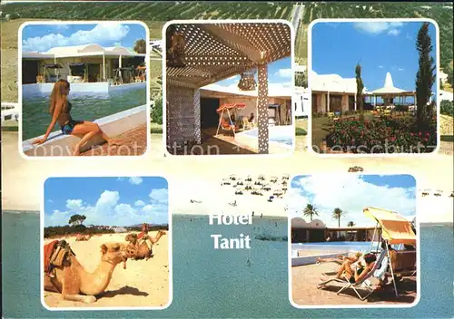 Hammamet Hotel Tanit Swimmingpool Strand Bungalows Kamelreiten Kat. Tunesien