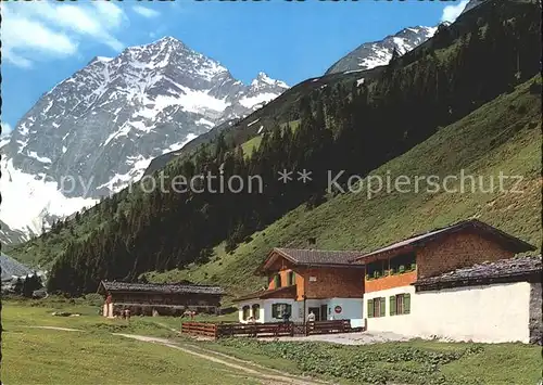 Habicht Pinnisalm  Kat. Neustift im Stubaital