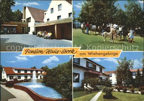 Bad Holzhausen Luebbecke Pr. Oldendorf Pension Haus Stork Kat. Preussisch Oldendorf