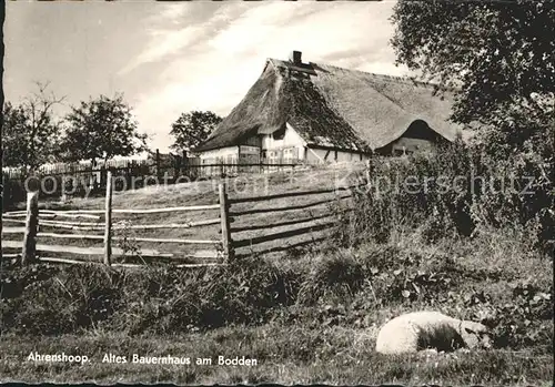 Ahrenshoop Ostseebad Altes Bauernhaus am Bodden / Ahrenshoop /Nordvorpommern LKR