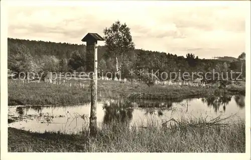 Schwenningen Neckar Neckarsprung im Schwenninger Moos / Villingen-Schwenningen /Schwarzwald-Baar-Kreis LKR