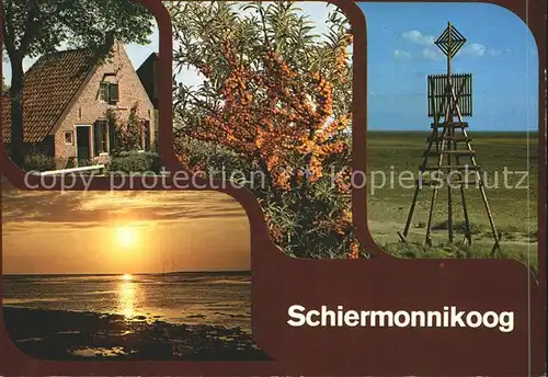 Schiermonnikoog  Kat. Niederlande