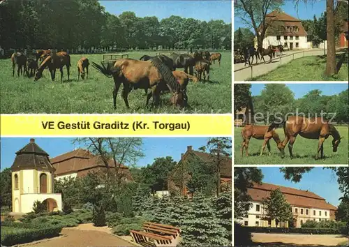 Graditz Pferdegestuet Kat. Torgau