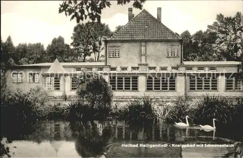 Heiligenstadt Eichsfeld Kneippbad mit Schwanenteich Kat. Heiligenstadt