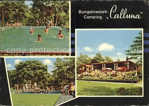 Ommen Overijssel Bungalowpark Camping Calluna Kat. Ommen