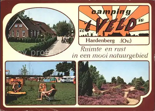 Hardenberg Niederlande Camping t Veld Natuurgebied Heidelandschaft / Niederlande /