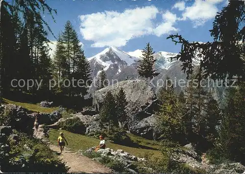 Graechen VS Spazierweg Graechen Ried Weisshorn Brunegghorn Bishorn Kat. Graechen