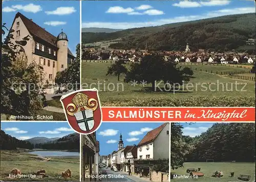 Salmuenster Bad Soden Amtshaus Schloss Fischteiche Leipziger Strasse Muehlwiese  Kat. Bad Soden am Taunus