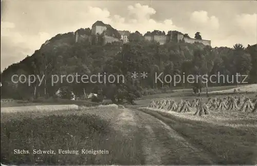 Saechsische Schweiz Festung Koenigstein Kat. Rathen Sachsen