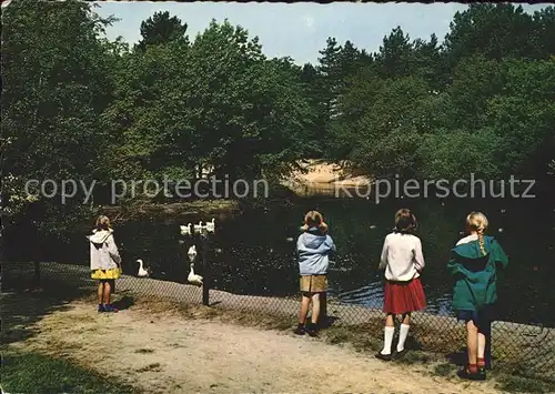 Schoorl Eendenvijver in de Nollen Kat. Bergen Niederlande