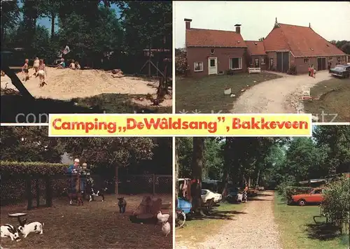 Bakkeveen Camping De Waldsang Kat. Bakkeveen