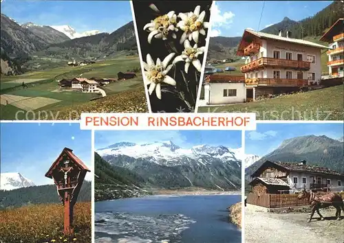 Lappach Pension Rinsbacherhof Edelweiss Wegkreuz See Pferdekutsche