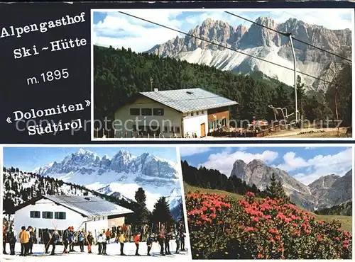 Palmschoss Alpengasthof Skihuette Dolomiten Sesselliftstation Pfannspitze Alpenflora