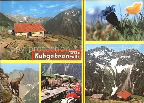Hirschegg Kleinwalsertal Vorarlberg Kuhrehrenalpe Alpenflora Enzian Gemse Alpenpanorama Kat. Mittelberg