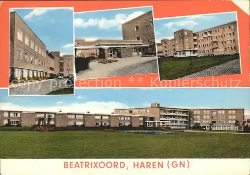 Haren Groningen Beatrixoord Kat. Haren