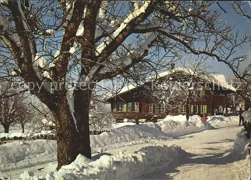 Jemeppe sur Meuse Holzhaus tief verschneit Kat. Jemeppe Liege