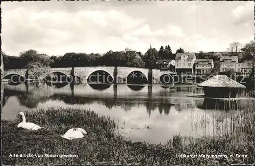 Melsungen Fulda an der Fulda Alte Bruecke Schwaene / Melsungen /Schwalm-Eder-Kreis LKR