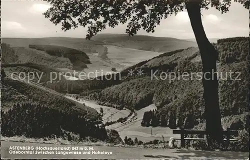 Astenberg Odeborntal zwischen Langewiese und Hoheleye