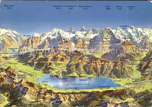 Brienzersee BE Panoramakarte mit Berner Oberland Kat. Brienz
