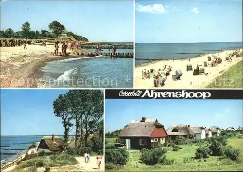 Ahrenshoop Ostseebad Strand Reetdachhaeuser / Ahrenshoop /Nordvorpommern LKR