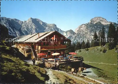 Pertisau Achensee Baerenbadalpe Ochsenkar Hahnenkamm Tristenkopf Kat. Eben am Achensee