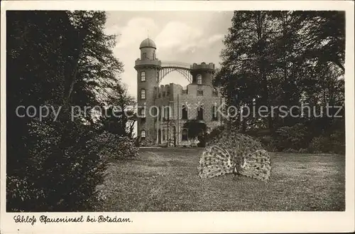 Potsdam Schloss Pfaueninsel Kat. Potsdam