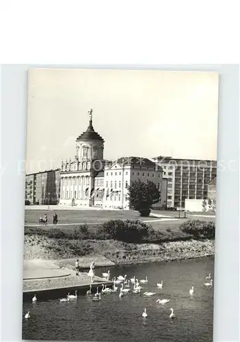 Potsdam An der Langen Bruecke Schwaene Kat. Potsdam