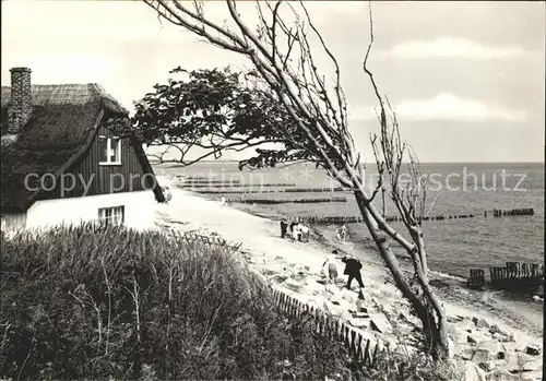 Ahrenshoop Ostseebad Duenenhaus Strand Ostseebad / Ahrenshoop /Nordvorpommern LKR