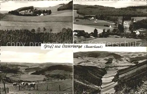 Oesterberge Panorama Landschaft Gasthaus Pension Bergeshoeh