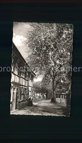 Buescherhoefen Dorfpartie Alter Baum