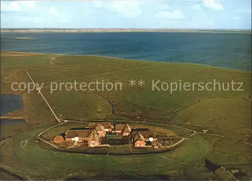 Hallig Groede Kleinste Gemeinde der Bundesrepublik  Kat. Groede Hallig