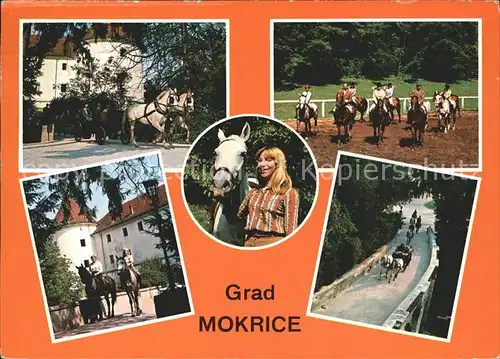 Slovenia Slowenien Grad Mokrice Pferde Kat. Slowenien