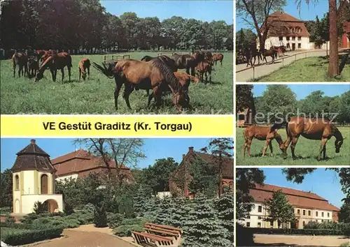 Graditz VE Gestuet Graditz Wirtschaftsgebaeude Pferde Koppel Kat. Torgau