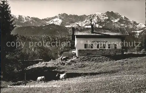 Partnachalm mit Wettersteinwand und Dreitorspitze Kat. Garmisch Partenkirchen