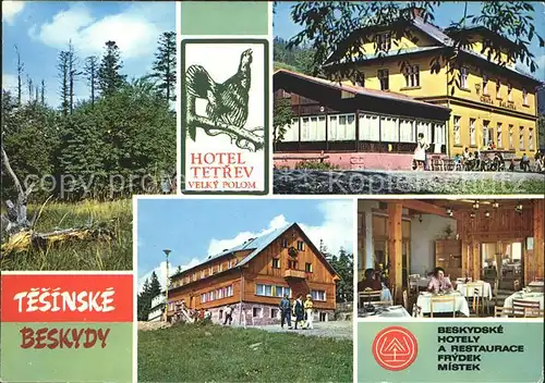 Tesinske Beskydy Hotel Tetrev Waldpartie