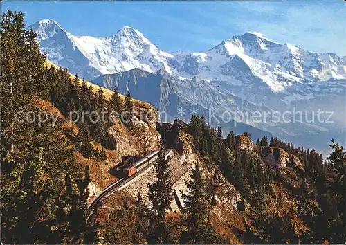 Schynige Platte Bahn Eiger Moench Jungfrau Berner Oberland  Kat. Eisenbahn