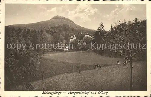 Siebengebirge Margaretenhof und oelberg Kat. Koenigswinter